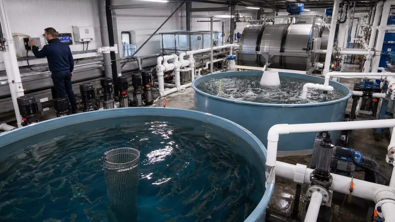 Energy monitoring for a RAS fish farm with continuous insight into pumps and aeration